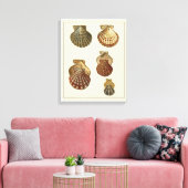 Crackig Antike Muscheln Leinwanddruck (Insitu (Wohnzimmer))