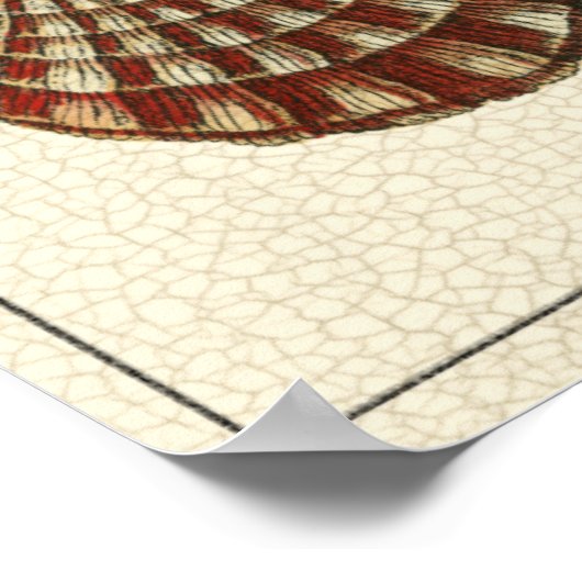 Crackig Antike Muscheln Poster (Ecke)