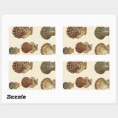 Crackig Antike Muscheln Rechteckiger Aufkleber (Blatt)