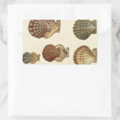 Crackig Antike Muscheln Rechteckiger Aufkleber (Tasche)