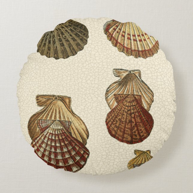 Crackig Antike Muscheln Rundes Kissen (Vorderseite)