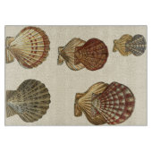 Crackig Antike Muscheln Schneidebrett (Vorderseite)