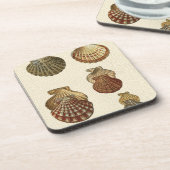 Crackig Antike Muscheln Untersetzer (Linke Seite)