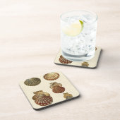 Crackig Antike Muscheln Untersetzer (Rechte Seite)