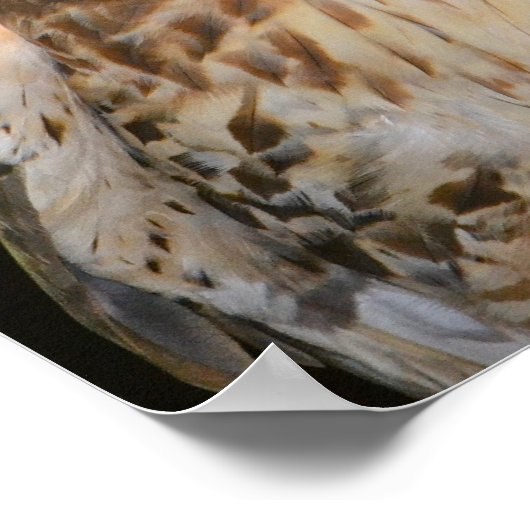 Crafty Hawk Poster (Ecke)