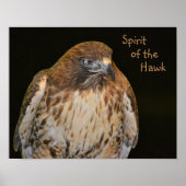 Crafty Hawk Poster (Vorne)