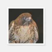 Crafty Hawk Serviette (Vorderseite)