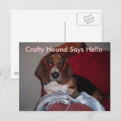 Crafty Hound Postkarten (Vorne/Hinten)