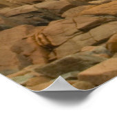 Craggy Coast, Acadia National Park, Maine Poster (Ecke)