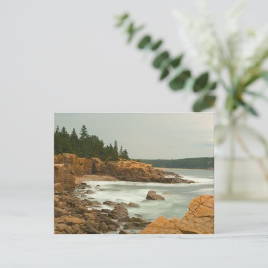 Craggy Coast, Acadia National Park, Maine Postkarte (Stehend Vorderseite)