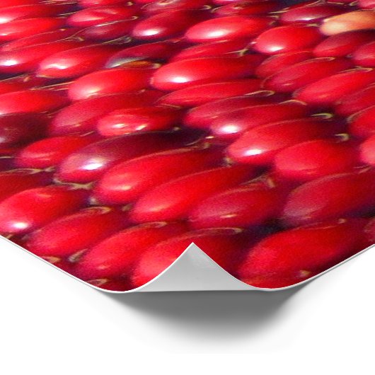 Cranberries Festivals Red Poster (Ecke)