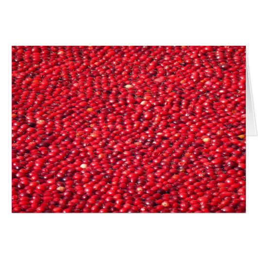 Cranberries Festliches Rot (Vorderseite (Horizontal))