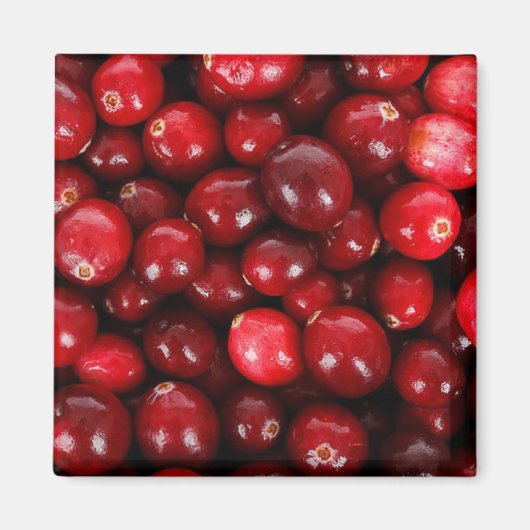 Cranberries Magnet (Vorne)