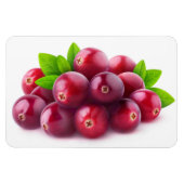 Cranberries Magnet (Horizontal)
