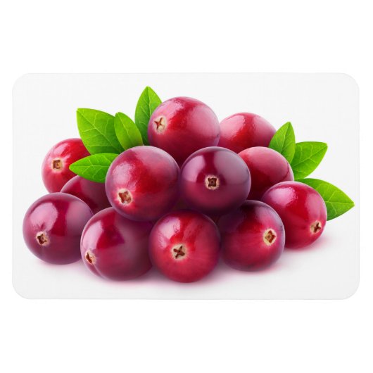 Cranberries Magnet (Horizontal)