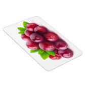 Cranberries Magnet (Rechte Seite)