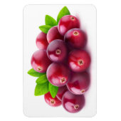 Cranberries Magnet (Vertikal)