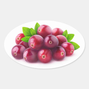 Cranberries Ovaler Aufkleber