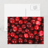 Cranberries Postkarte (Vorne/Hinten)