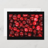 Cranberries Postkarte (Vorne/Hinten)
