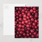 Cranberries Postkarte (Vorne/Hinten)