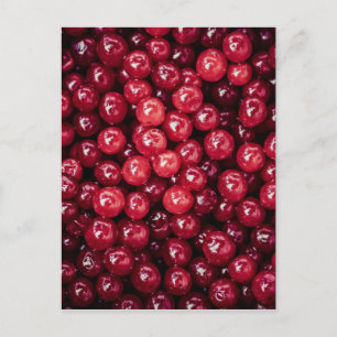 Cranberries Postkarte