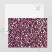 Cranberries Postkarte (Vorne/Hinten)