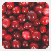 Cranberries Quadratischer Aufkleber (Vorderseite)