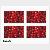 Cranberries Rechteckiger Aufkleber (Blatt)
