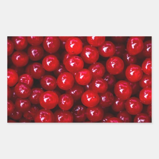 Cranberries Rechteckiger Aufkleber (Vorderseite)