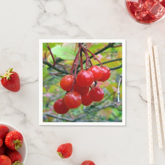 Cranberries Serviette (Beispiel)