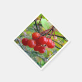 Cranberries Serviette (Ecke)