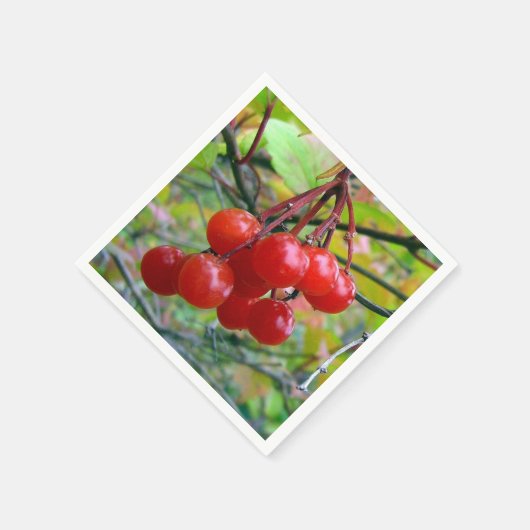 Cranberries Serviette (Ecke)