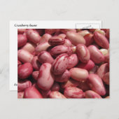 Cranberry Beans Postkarte (Vorne/Hinten)