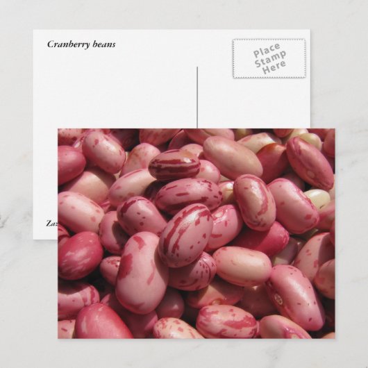 Cranberry Beans Postkarte (Vorne/Hinten)