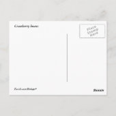 Cranberry Beans Postkarte (Rückseite)