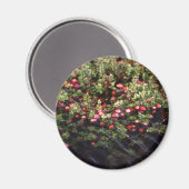Cranberry Bog Magnet (Vorderseite/Rückseite)