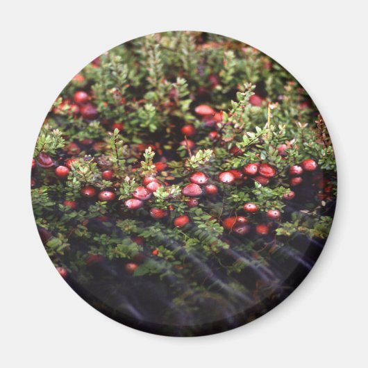 Cranberry Bog Magnet (Vorne)