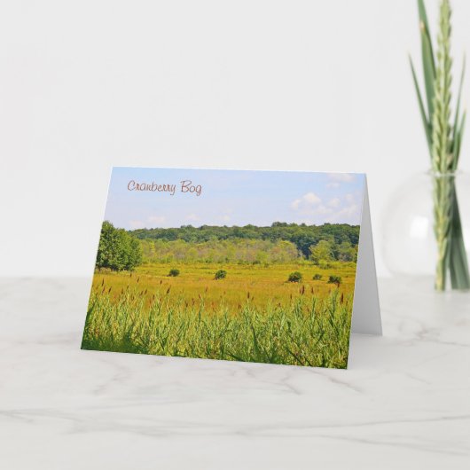Cranberry Bog Notecard Karte (Vorderseite)