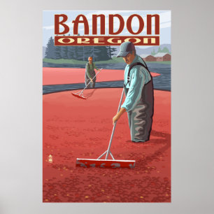 Cranberry Bogs Harvest - Bandon, Oregon Poster