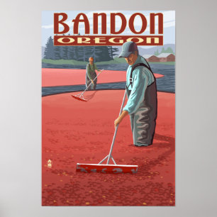 Cranberry Bogs Harvest - Bandon, Oregon Poster