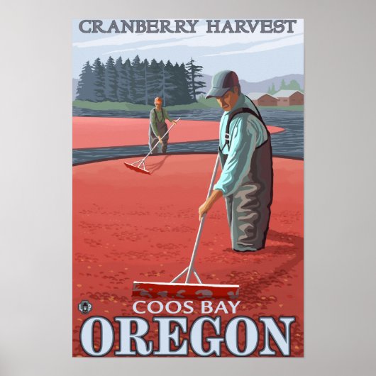 Cranberry Bogs Harvest - Coos Bay, Oregon Poster (Vorne)