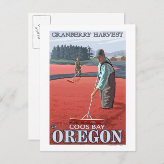 Cranberry Bogs Harvest - Coos Bay, Oregon Postkarte (Vorne/Hinten)