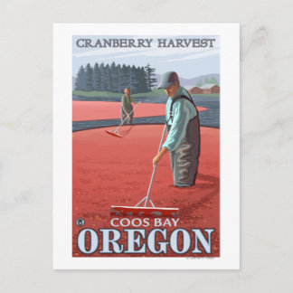 Cranberry Bogs Harvest - Coos Bay, Oregon Postkarte