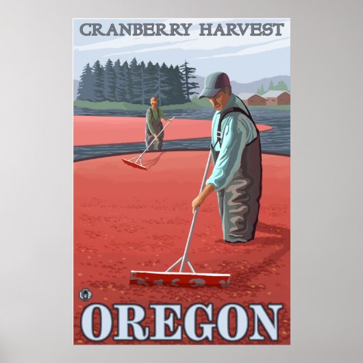 Cranberry Bogs Harvest Poster (Vorne)