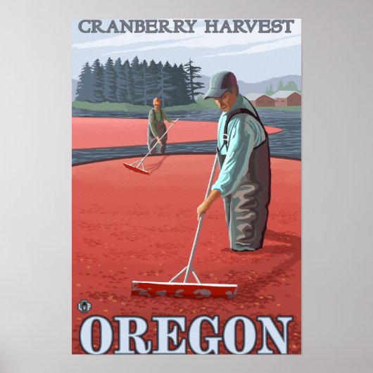 Cranberry Bogs Harvest Vintage Travel Poster (Vorne)