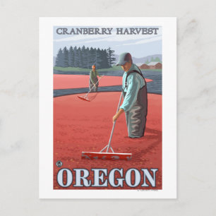 Cranberry Bogs Harvest Vintage Travel Poster Postkarte