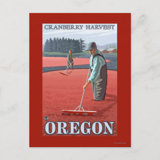 Cranberry Bogs Harvest Vintage Travel Poster Postkarte