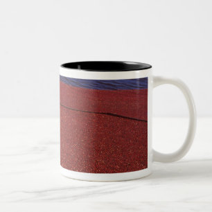 Cranberry-Ernte, Middleboro, MA, USA Zweifarbige Tasse