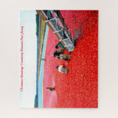 Cranberry-Ernte New Jersey. Puzzle (Vertikal)
